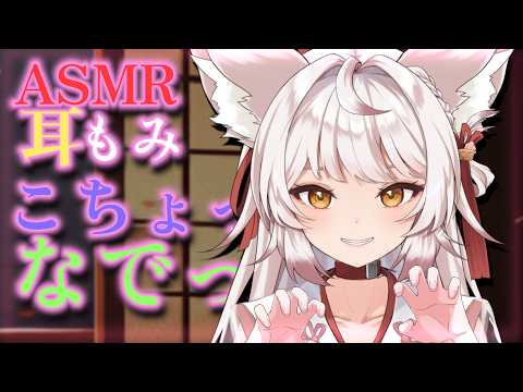 【ASMR/KU100】お狐様の朝まで撫で撫で🌟もふもふ【ear massage/睡眠導入/Vtuber/こりす/アーカイブ無し/repeat】