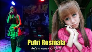 Download lagu Antara Teman dan Kasih ||Putri || Baru sadar String's di lagu ini terlalu keras setelah di Record😁. mp3