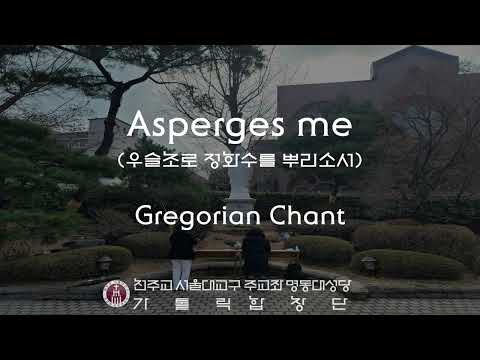 [서울대교구 주교좌 명동대성당 가톨릭합창단] Asperges me(Gregorian Chant)