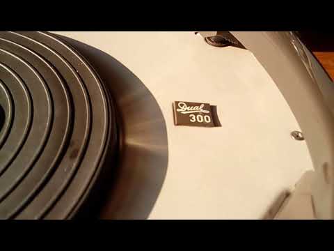 Dual Party 300 Motor gereinigt und geschmiert