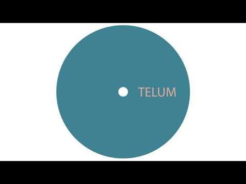 Unknown Artist - Untitled A1 [TELUM012]