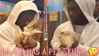 Lil Uzi Bought A Pet Skunk