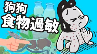 Re: [問題/貓食] 貓咪舔毛＋吐的疑問 