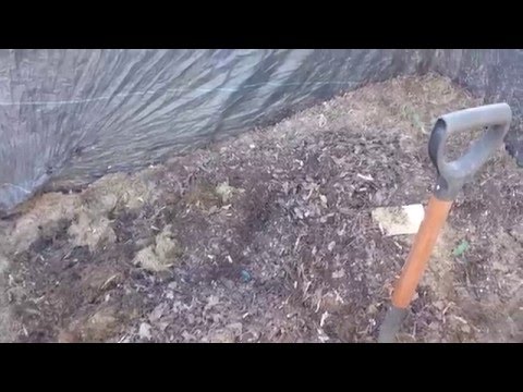 Wedge System - Update 27 april 2016