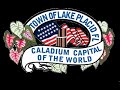 Town Of Lake Placid CRA Regular Meeting 9 9 2024