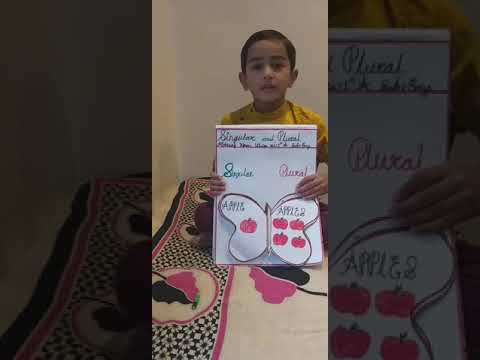 singular and plural words grammar( English project)