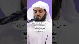 Download lagu Surat Hud 56-57 | Raad Mohammad Al Kurdi #alquran mp3