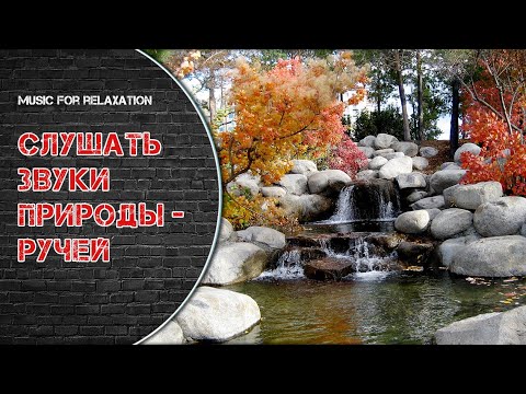 Звук ручья для сна. Мелодия журчание ручья. Мелодия журчание ручья. Шум ручья музыкальный инструмент. Звуки журчание ручья.