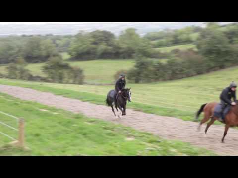 Monk's View | 08.10.2016