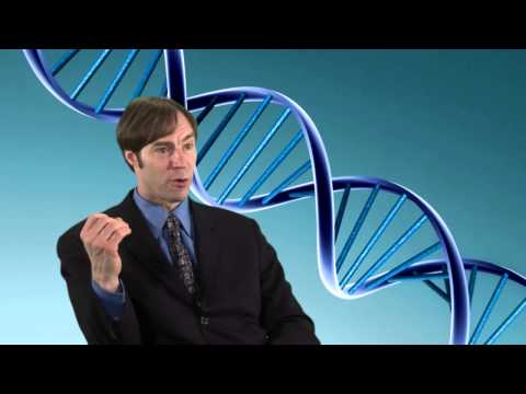 Stephen Meyer on Intelligent Design  What is the origin of digital information found in DNA?