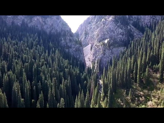 Озеро Каинды. Видео 2