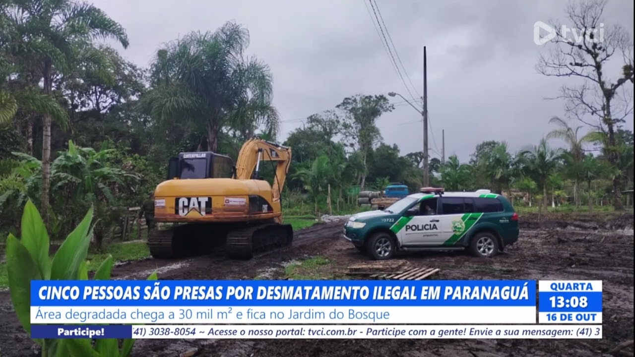 CINCO PESSOAS SÃO PRESAS POR DESMATAMENTO ILEGAL EM PARANAGUÁ