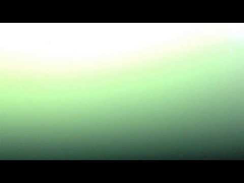 Calvin Harris - Thinking About You Firebeatz Remix Cream amnesia ibiza