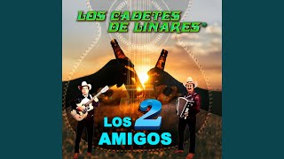 Adios Amigo Del Alma