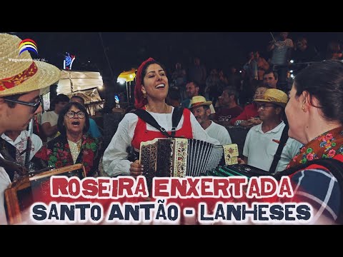 Roseira Enxertada - Santo Antão - Lanheses - Viana do Castelo