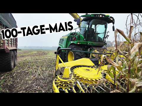 🌽 5 Sorten im Vergleich: Wie performt unser 100-Tage-Mais in 2024??