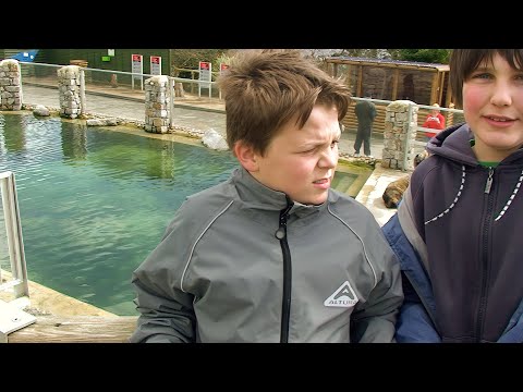 11 Apr 2008 · HD video taken today, upscaled to 4K - 2024 Full Remaster including repair of tape defects, accurate times, cycling distances, photo additions, upscale to 4K and image stabilisation