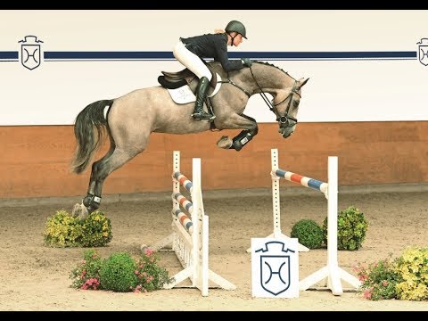 112 | Cliffi v. Chin Champ - Corrado I