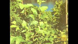 Albert Collins   I Got A Mind To Travel