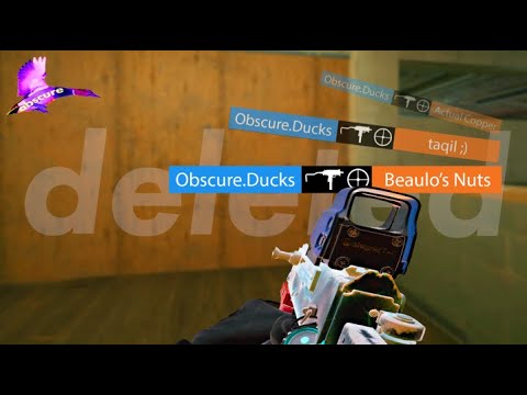 One Tapping Like Shaiiko | Rainbow Six Siege