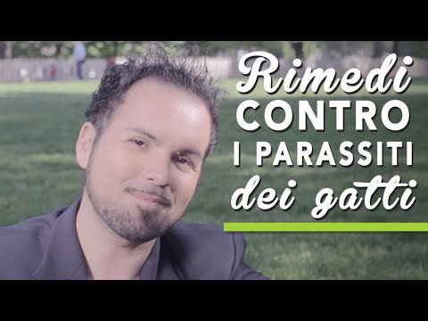 Come capire che in uno stomaco striscia Se cè stato un verme di nastro