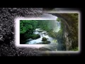 Declan Masterson - The Hazel Woods