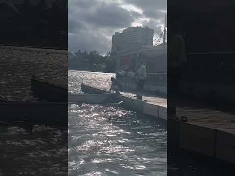 Awesome View Beach 🏝️ Canada 🇨🇦