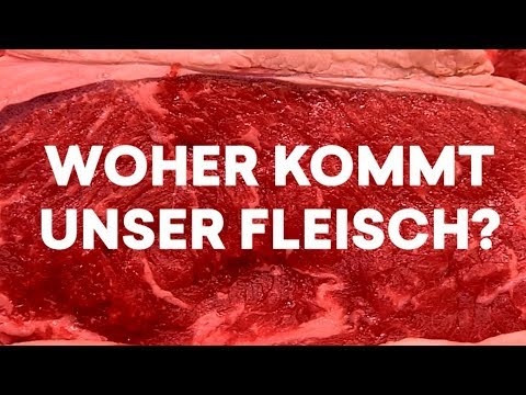 Vom Hof zum Schlachter: Welchen Weg unser Fleisch zurücklegt | Tiertransporte