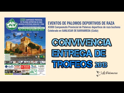 Palomos de Raza Cádiz 2013 Entrega de Trofeos