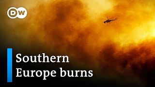 Mediterranean region reels from wildfires | DW News