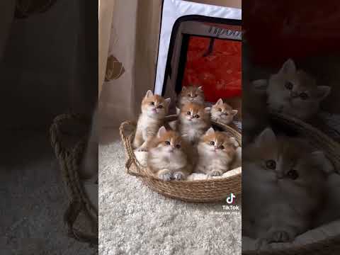 ٤ مارس ٢٠٢٤