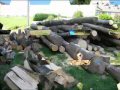 DIE LUSTIGE HOLZHACKER BUAM 2 