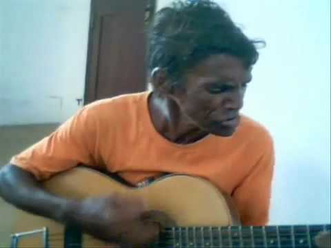 Borboletas video