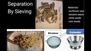 Science Activity Year 5: Separating Dry Mixtures through Sieving