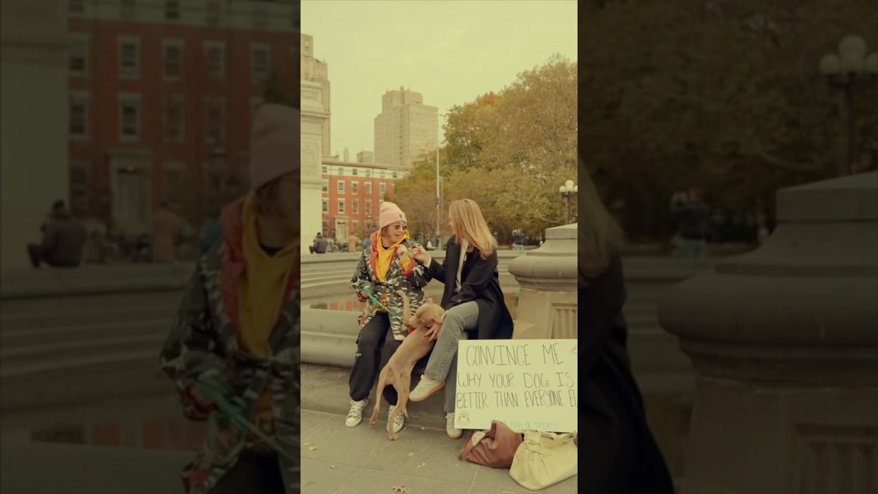 NYC Street Interviews!