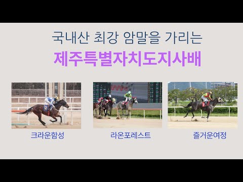 9/21-강태성-'제주지사배' 출전마 분석(크라운함성,즐거운여정,라온포레스트,글라디우스,판타스틱밸류,보령라이트퀸)