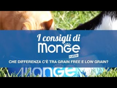 Che differenza c'è tra grain free e low grain?
