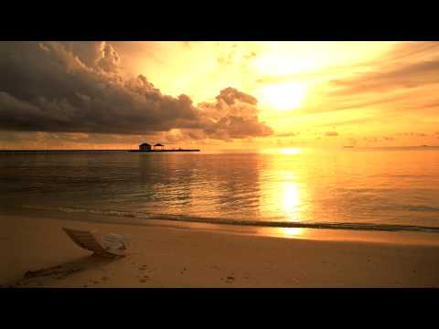 Besu - Jaded (Ft. Iain Mannix)