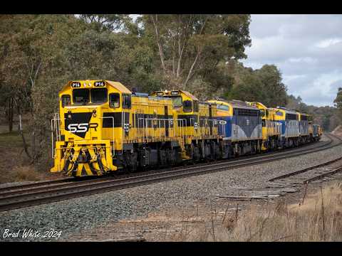 Seven Loco Lash-Up on SSR's 9083 Workshops Transfer- 14/6/24