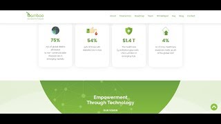 BAMBOO  революция в здравоохранении в странах АСЕАН !!!