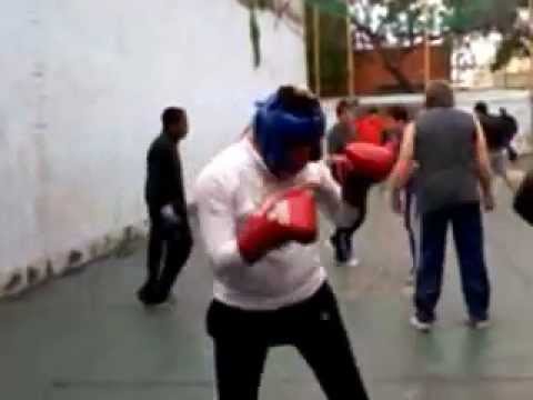 CLUB FRANJA DE ORO BOXEO