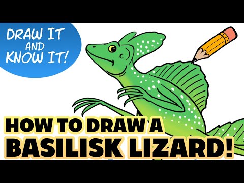 Draw It Know It (Art Lesson Edition) | Basilisk Lizard | Reasons for Hope