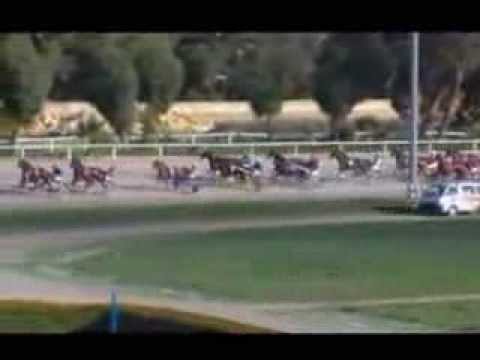www kennethvella com  MEETING (45) Date 17-11-2013 PART 1 RACE 1,2,3,4,5,6,7,8,9,10,11.