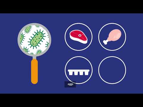 FSA Explains: Salmonella
