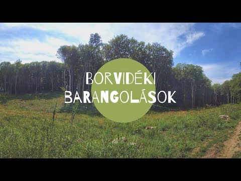 Megyejáró Hódító Túrák | Borvidéki barangolások | 2019. augusztus 3. | Baj