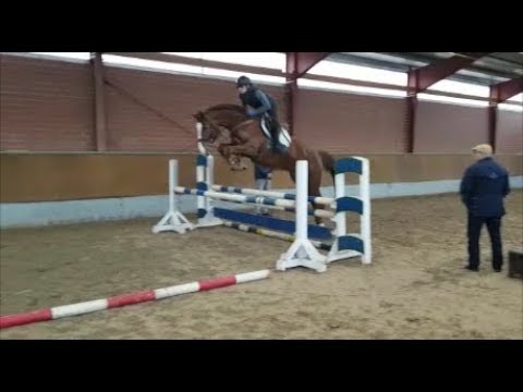 OLDENBURG 2014 MESSENGER/CHACCO BLUE/BALOUBET DU ROUET