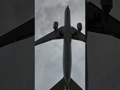 11 de agosto de 2025