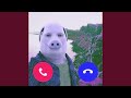 JHON PORK PHONK SLOWED