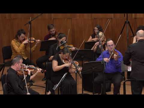 Andreas Makris: "In Memory" - Makris Chamber Orchestra, Predrag Gosta