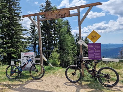 🐻🐻 Happy Bear trail first / best part | Bike Resort Sinaia | MTB DH 16.07.2022